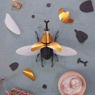 cadeau décoration craft nature insecte animal activité manuelle kit créatif